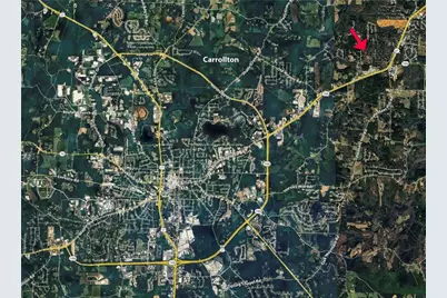 533 Tree Ridge, Carrollton, GA 30116 - Photo 50