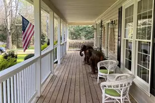 6175 Jett Rd, Dawsonville, GA 30534 - Photo 50