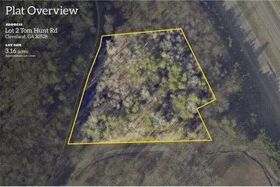 0 Tom Hunt Road, Cleveland, GA 30528 - Photo 2