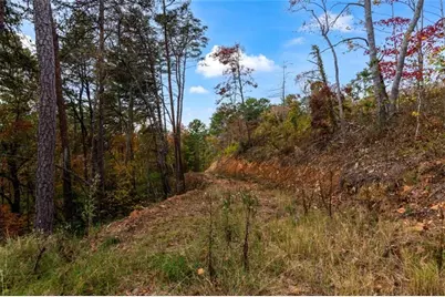Lt 269 Canoe Way, Talking Rock, GA 30175 - Photo 14