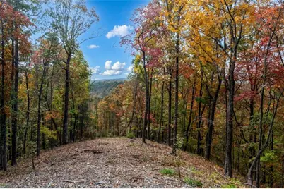 Lt 269 Canoe Way, Talking Rock, GA 30175 - Photo 20