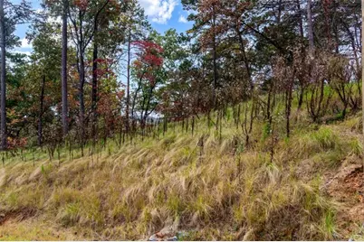 Lt 269 Canoe Way, Talking Rock, GA 30175 - Photo 12