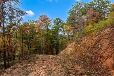 Lt 269 Canoe Way, Talking Rock, GA 30175 - Photo 16