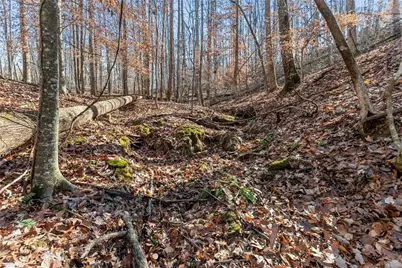 3523 Lighthouse Lane, Gainesville, GA 30504 - Photo 66