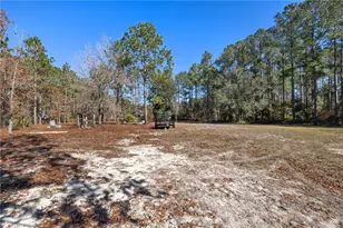 771 Heritage Cir, Hortense, GA 31543 - Photo 12