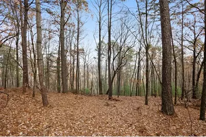 172 Hunter Drive, Talking Rock, GA 30175 - Photo 6