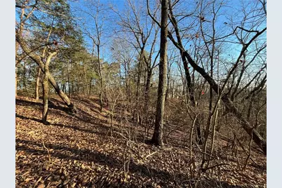 1171 Hunter Drive, Ranger, GA 30734 - Photo 4