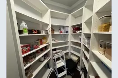 215 Walden Pond Trail, Senoia, GA 30276 - Photo 8