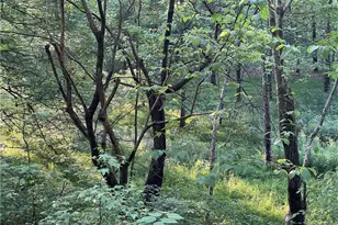 456 Poverty Rd, Murrayville, GA 30564 - Photo 24