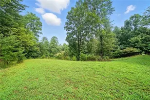 87 Dillons Ln, Morganton, GA 30560 - Photo 28