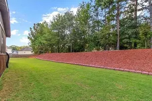 295 River Walk Farm Pkwy, Covington, GA 30014 - Photo 48