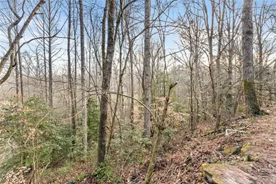 62 Dogwood Trail, Dahlonega, GA 30533 - Photo 20