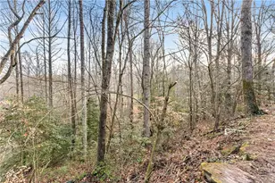 62 Dogwood Trail, Dahlonega, GA 30533 - Photo 20