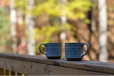 41 Peek and Peak Drive, Sky Valley, GA 30537 - Photo 58