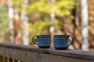 41 Peek and Peak Dr, Sky Valley, GA 30537 - Photo 58