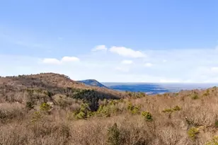 50 Shawnee Trail, Chatsworth, GA 30705 - Photo 46