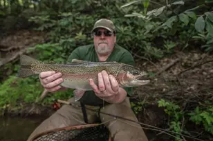 339 Birdseye View, Blue Ridge, GA 30513 - Photo 66