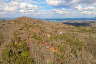 339 Birdseye View, Blue Ridge, GA 30513 - Photo 54