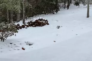 339 Birdseye View, Blue Ridge, GA 30513 - Photo 68