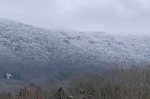 339 Birdseye View, Blue Ridge, GA 30513 - Photo 62