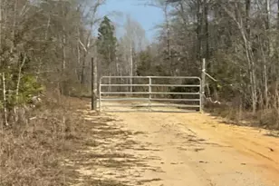 0 Luther Surrency Road Rd, Baxley, GA 31513 - Photo 2