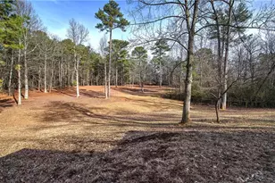 1703 Bryant Rd, Ranger, GA 30734 - Photo 60