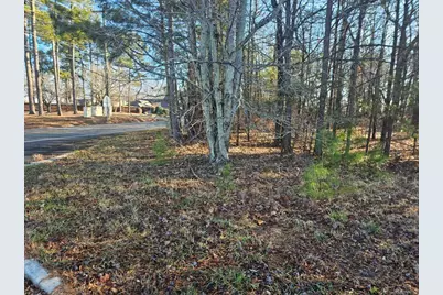 5501 Radford Road, Flowery Branch, GA 30542 - Photo 6