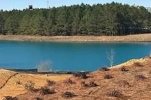 202 Wildflower Cir, Calhoun, GA 30701 - Photo 40