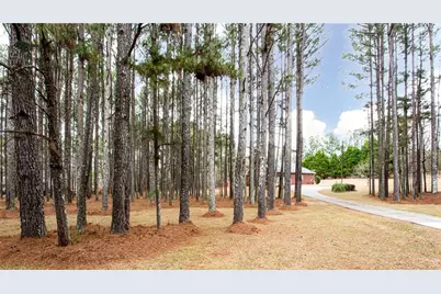 3060 Clegg Farm Road, Social Circle, GA 30025 - Photo 10