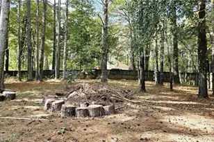 115 Bond Dr, Ellenwood, GA 30294 - Photo 18