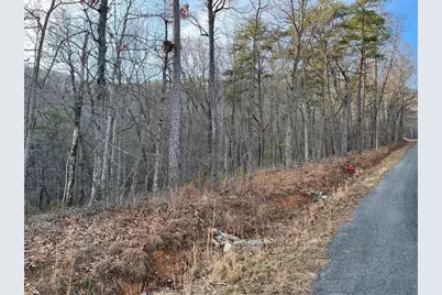 205 Sharp Top Mountain Trail, Jasper, GA 30143 - Photo 4