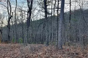 205 Sharp Top Mountain Trail, Jasper, GA 30143 - Photo 1