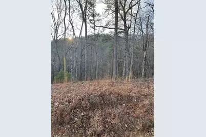 205 Sharp Top Mountain Trail, Jasper, GA 30143 - Photo 6