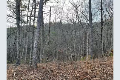 205 Sharp Top Mountain Trail, Jasper, GA 30143 - Photo 2