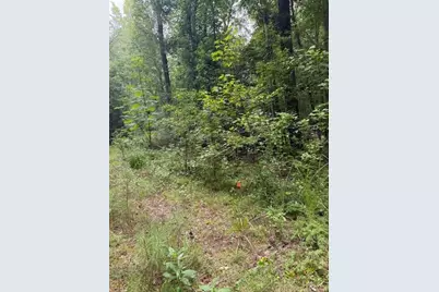 6350 Blackjack Road, Flowery Branch, GA 30542 - Photo 18