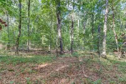 6350 Blackjack Road, Flowery Branch, GA 30542 - Photo 16