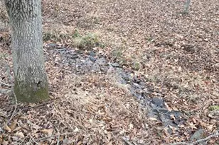 300 Burbano Creekside Lndg, Talking Rock, GA 30175 - Photo 50