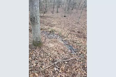 300 Burbano Creekside Landing, Talking Rock, GA 30175 - Photo 52