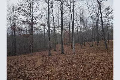 300 Burbano Creekside Landing, Talking Rock, GA 30175 - Photo 58