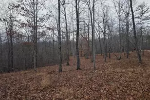 300 Burbano Creekside Lndg, Talking Rock, GA 30175 - Photo 58