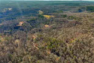 300 Burbano Creekside Lndg, Talking Rock, GA 30175 - Photo 42