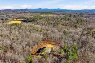 300 Burbano Creekside Lndg, Talking Rock, GA 30175 - Photo 46