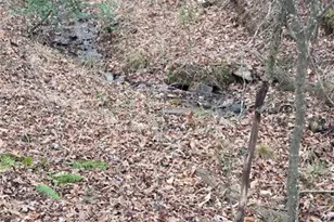 300 Burbano Creekside Lndg, Talking Rock, GA 30175 - Photo 48