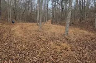 300 Burbano Creekside Lndg, Talking Rock, GA 30175 - Photo 54