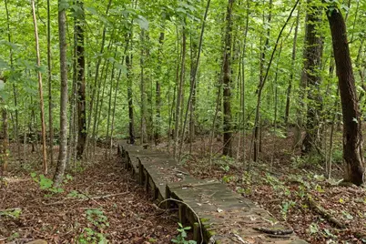 267 Pointe Willow Dr Drive, Cleveland, GA 30528 - Photo 48