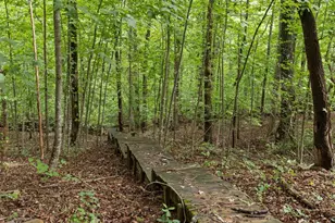 267 Pointe Willow Dr Dr, Cleveland, GA 30528 - Photo 48