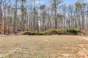 118 Raven Rd, Villa Rica, GA 30180 - Photo 52