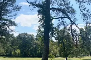 14250 Freemanville Rd, Milton, GA 30004 - Photo 72