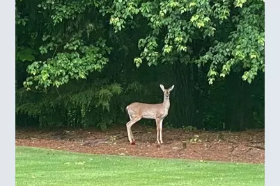 14250 Freemanville Road, Milton, GA 30004 - Photo 68