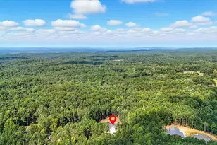 62 Joe Rowell Rd, Buchanan, GA 30113 - Photo 60